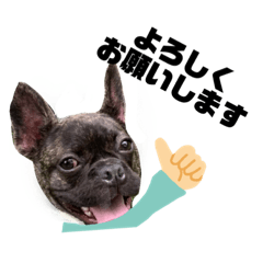 Asako_20211023180338