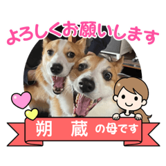 miki_20211023204628