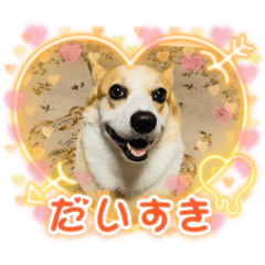 miki_20211023212702