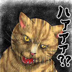 A scary face cats_fight ver