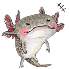 Axolotl mania