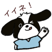Dog chocolat