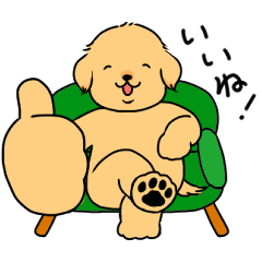 Goldenretriever Gol-chi animation 1