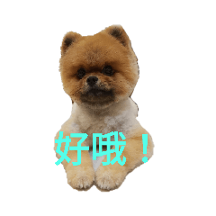 林小五