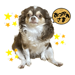 natsumi_20211023210057