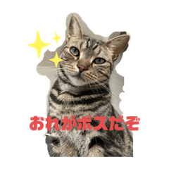 Ayumi_20211023221325