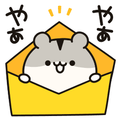 Every day soft hamster