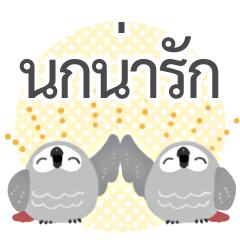 Parrot chan 3 -Thai ver-