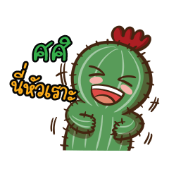 Sasi Love Cactus