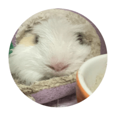 Jim_20211024142329 – LINE stickers | LINE STORE