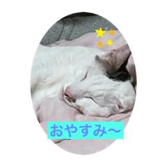 Miyuu_20211024134503