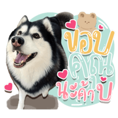 Iamnook_20211024014852