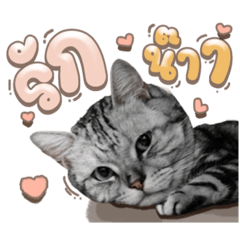 Iamnook_20211024011726