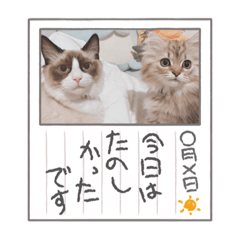 RINA_20211024180255
