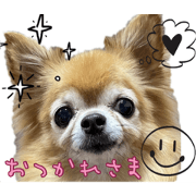MOMO_20211024181822
