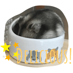 Omochi_20211024190642