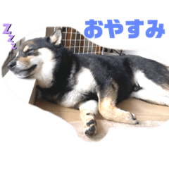 ann_20211024195944