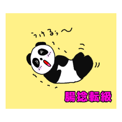 panda_20211024221214