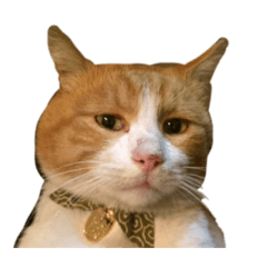 japanese cats stamps chappy &tama