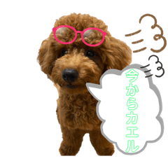 sayuri_20211024225631