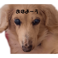 ARISA_20211025001305