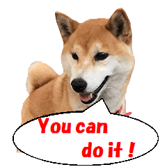 応援犬 ココア メイ Line スタンプ Line Store 応援犬 ココア メイ Line スタンプ Line Store