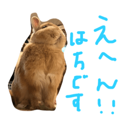 hana_20211024170634