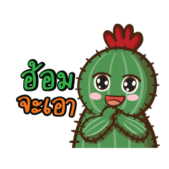 Aom Love Cactus
