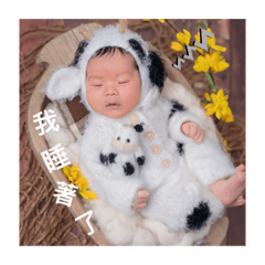我是27我又來囉！