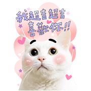 Baiji B&W Big Sticker Heartfelt Stickers
