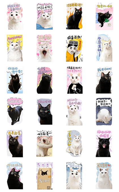 Baiji B&W Big Sticker Heartfelt Stickers