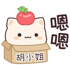 小星貓姓名貼2_胡小姐專用