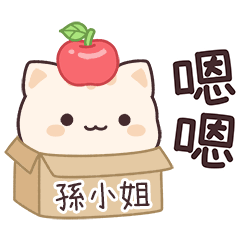 小星貓姓名貼2_孫小姐專用