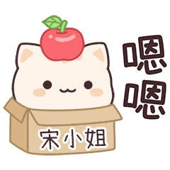 小星貓姓名貼2_宋小姐專用