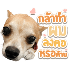 Jacky and Giant The Explorer