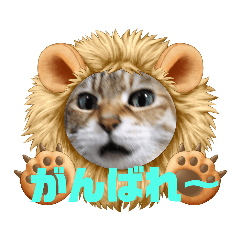 yuka_20211025155618