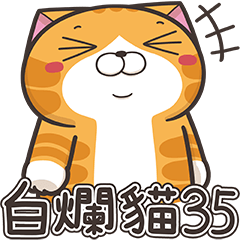 ランラン猫 35