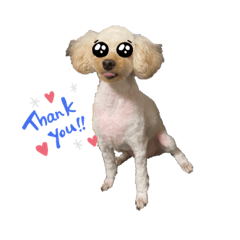 yukari_20211025183448