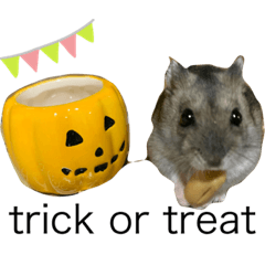 nanami_20211025203915