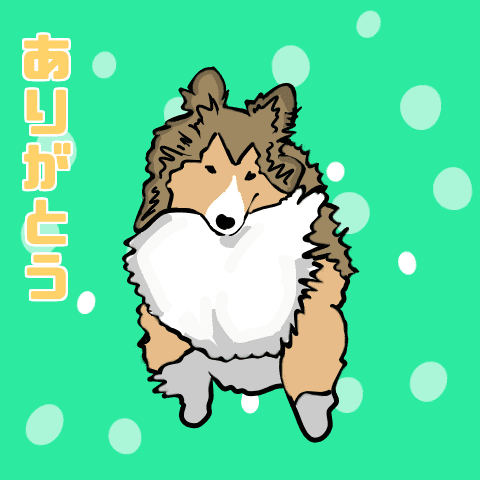 Moving pop-up Shetland Sheepdog