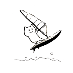 Windsurfer cat