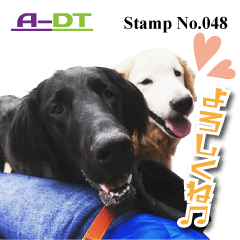 A-DT stamp No.048