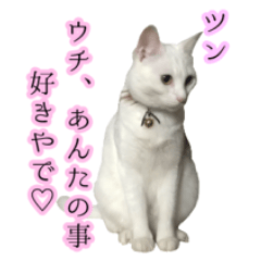 Kansai dialect talking cat sticker