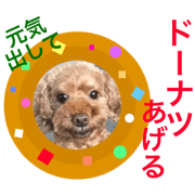 1day  of Chiko2