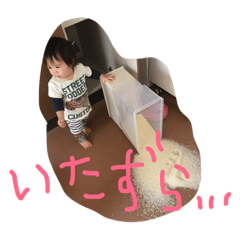 harurikuto2da