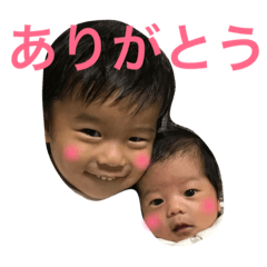 kotabrothers1