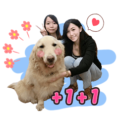 DIYA豬仔日常