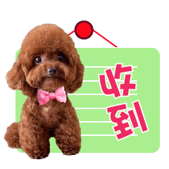 蕭錢錢與蕭小妹