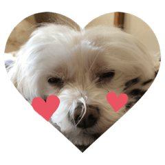 hiyori_20211026115552