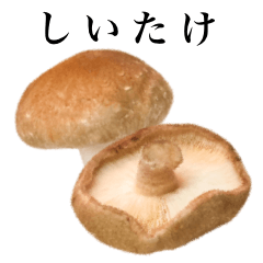 I am mushroom 3